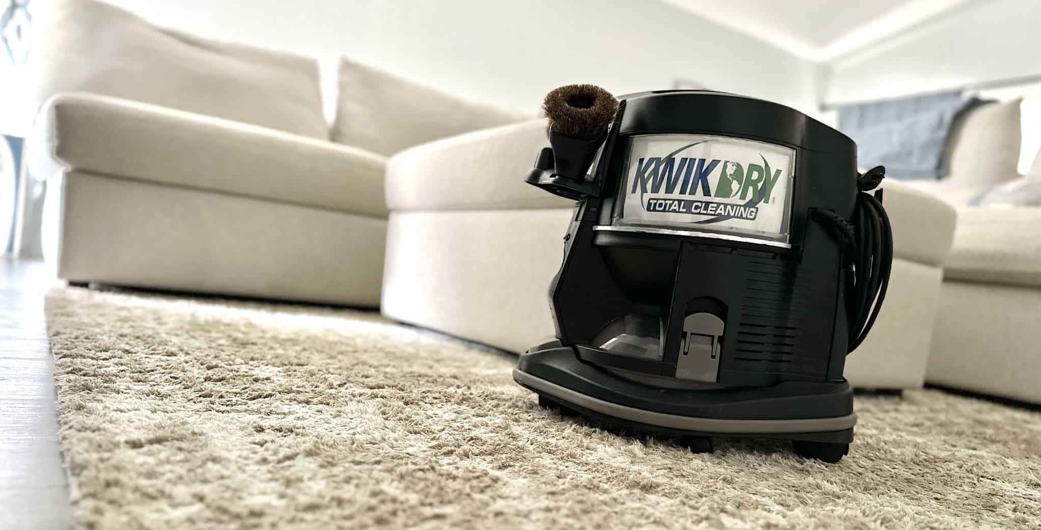 Steamer on Carpet